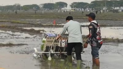 Viral: Wapres Gibran Mencoba Alat Tanam Padi di Ngawi, Hasilnya Unik, Netizen Ketawa