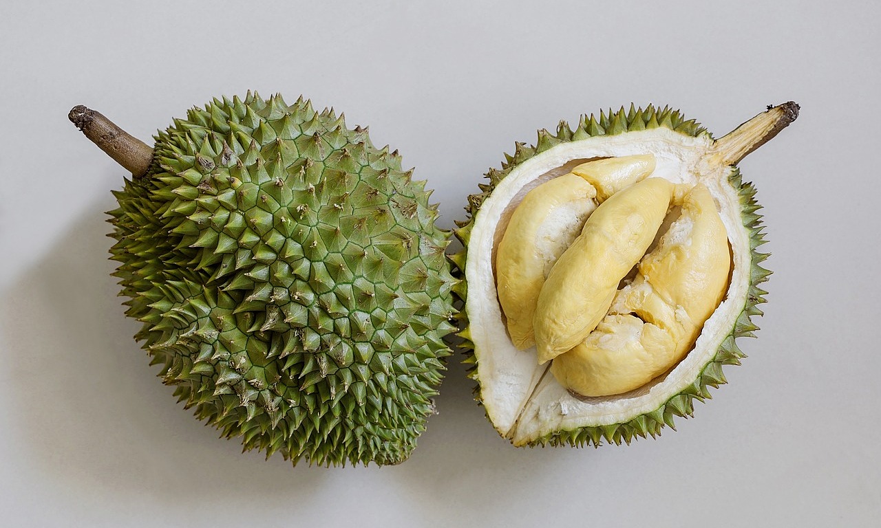 Is Durian the Liver’s New Best Friend—or Its Worst Enemy?