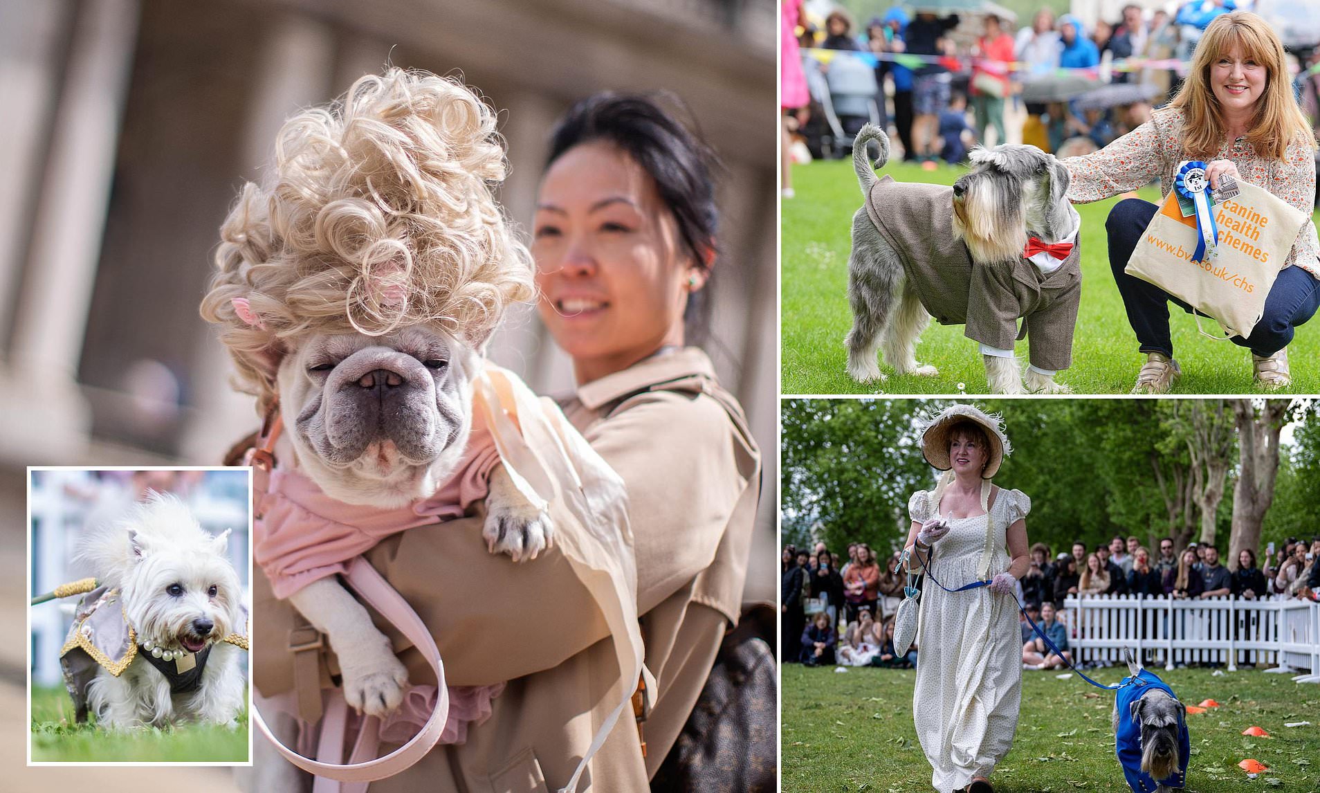 From Regency Dukes to Pups on a Parade: Heartwarming Pics Show Britain’s Most Stylish Dogs