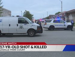 Teenager Fatally Shot South of Downtown St. Louis Teenager Fatally Shot South of Downtown St. Louis