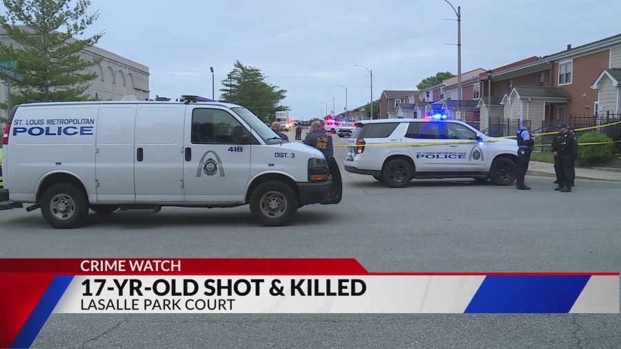 Teenager Fatally Shot South of Downtown St. Louis