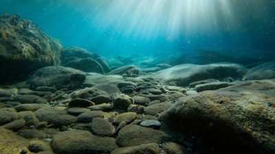 Giant Sea Monster Stalks the Ocean Depths