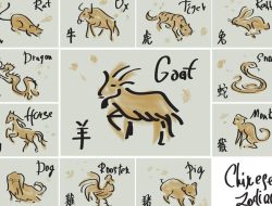 Prediksi Shio Hari Ini: 27 Mei 2025 untuk Monyet, Ayam, Anjing, dan Babi Prediksi Shio Hari Ini: 27 Mei 2025 untuk Monyet, Ayam, Anjing, dan Babi