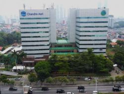 Barito Pacific (BRPT) Capai Pendapatan Rp10 Triliun, Naik Drastis 25% di Kuartal I-2025 Barito Pacific (BRPT) Capai Pendapatan Rp10 Triliun, Naik Drastis 25% di Kuartal I-2025