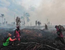 Peringatan BNPB: Ancaman Ganda saat Kemarau Basah – Gabungan Bencana Semakin Membahayakan