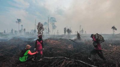 Peringatan BNPB: Ancaman Ganda saat Kemarau Basah – Gabungan Bencana Semakin Membahayakan