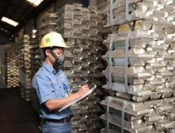 Prospek Harga Logam di 2025: Timah Bersinar, Nikel Tetap Terjepit Prospek Harga Logam di 2025: Timah Bersinar, Nikel Tetap Terjepit