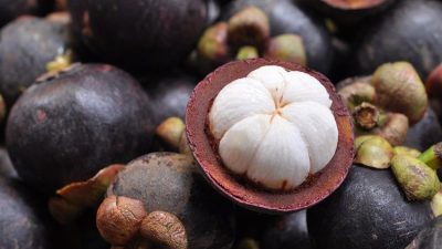 11 Khasiat Lengkap Manggis: Si Buah Lezat dengan Keajaiban Kesehatan