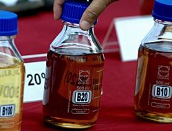 Program B50 Memicu Kekhawatiran atas Konflik Agraria Program B50 Memicu Kekhawatiran atas Konflik Agraria