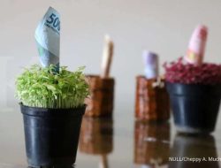 Produk Pasar Uang BRI-MI Lampaui Ekspetasi dengan Peningkatan AUM Hingga 173,48% Produk Pasar Uang BRI-MI Lampaui Ekspetasi dengan Peningkatan AUM Hingga 173,48%
