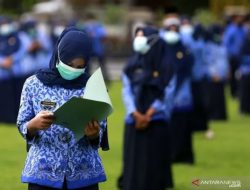 PPPK Tingkat 1 Dapat Gaji Pertama di Juni, Tidak Ada Pedoman Mutasi Yet
