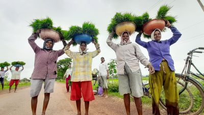 Experts Call for Minimum Wage in Horticulture Sector