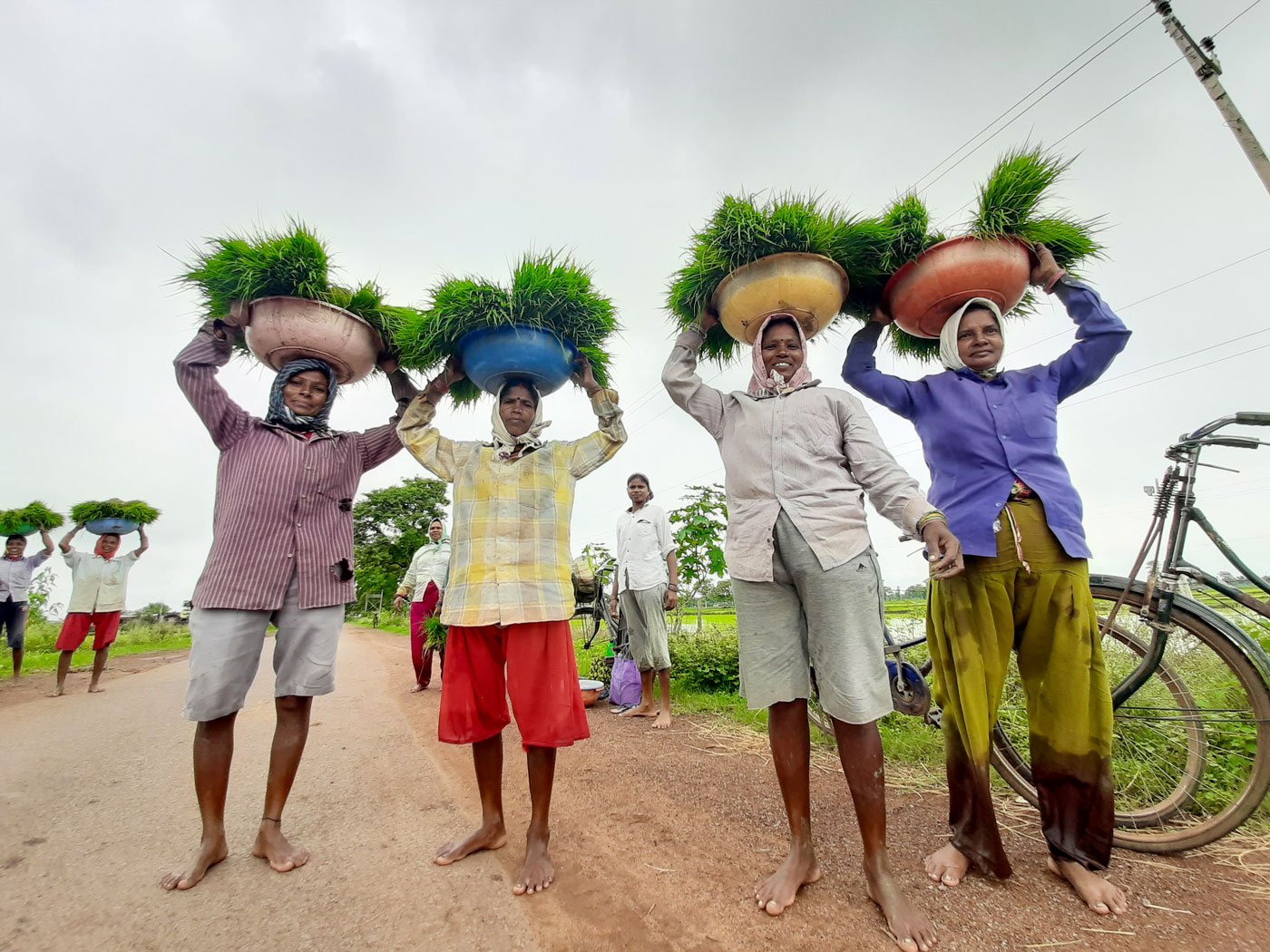 Experts Call for Minimum Wage in Horticulture Sector