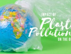 Why Tiny Choices Add Up: The Hidden Plastic Crisis We Can’t Ignore