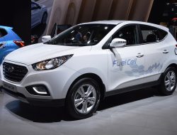 Hyundai’s US Exports Slump as Tariff Troubles Mount