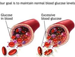 Sweet Risks: How Sugar Affects My Health