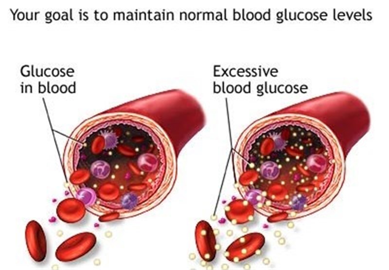 Sweet Risks: How Sugar Affects My Health