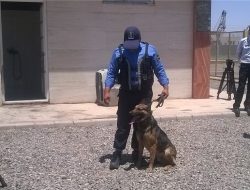 GIZ Ghana Empowers GRA Customs with Detection Dogs for Enhanced Border Security GIZ Ghana Empowers GRA Customs with Detection Dogs for Enhanced Border Security