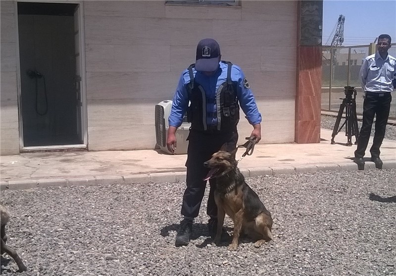 GIZ Ghana Empowers GRA Customs with Detection Dogs for Enhanced Border Security