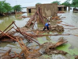 Floods Ravage Oyo: Farmlands and Communities Destroyed
