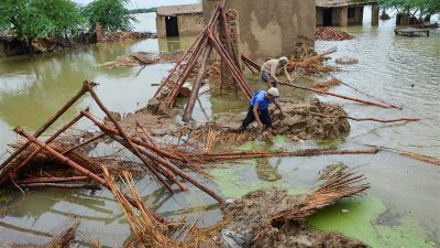 Floods Ravage Oyo: Farmlands and Communities Destroyed