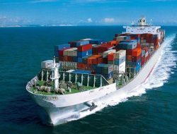 Gum Arabic Exports from Al-Gadarif Surge in International Market Gum Arabic Exports from Al-Gadarif Surge in International Market