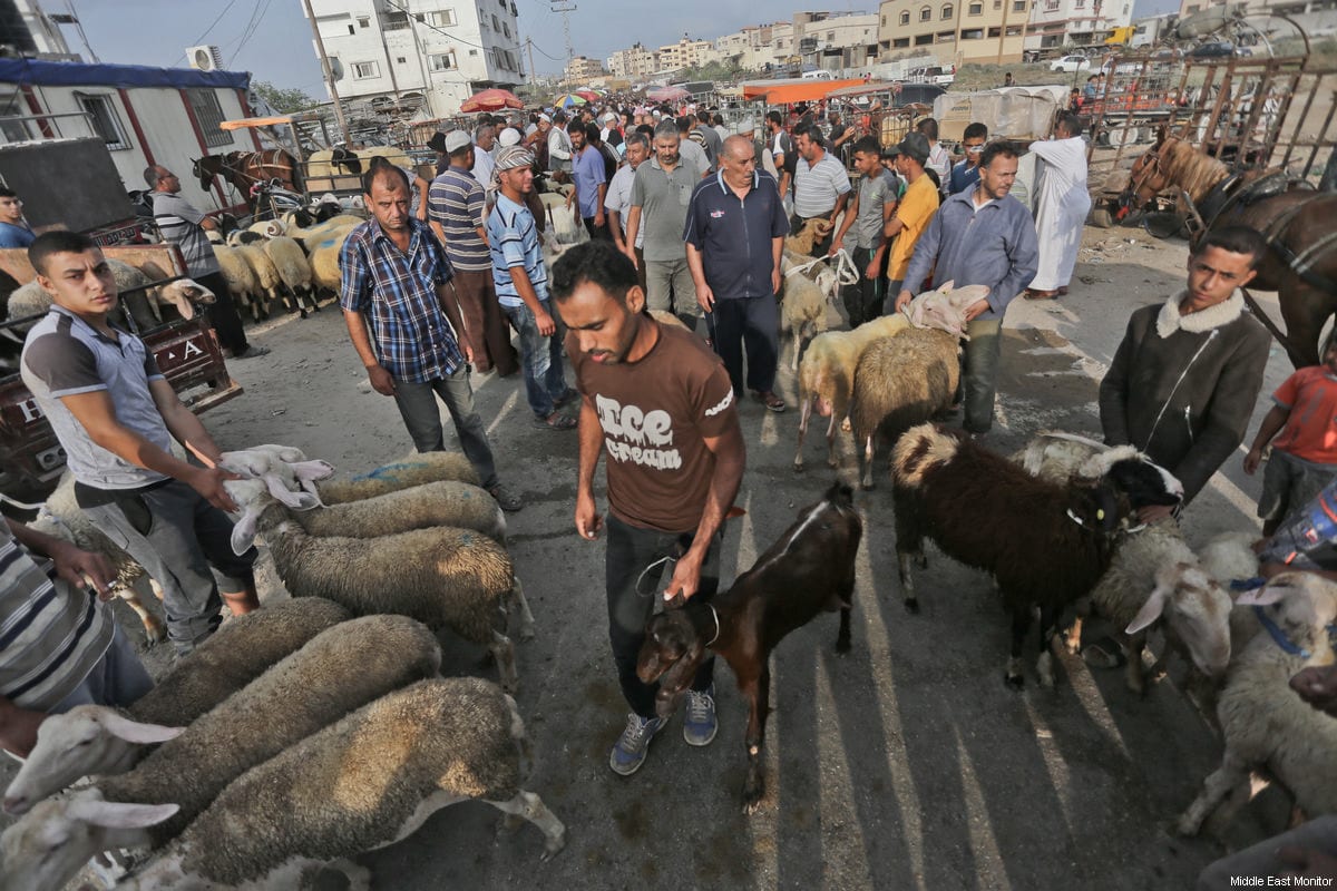 Crowds Surge to Cattle Markets in Anticipation of Eidul Azha