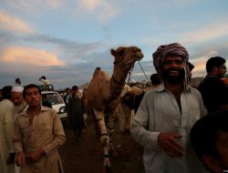 Eid Celebration Continues: Traditions and Togetherness in Pakistan Eid Celebration Continues: Traditions and Togetherness in Pakistan