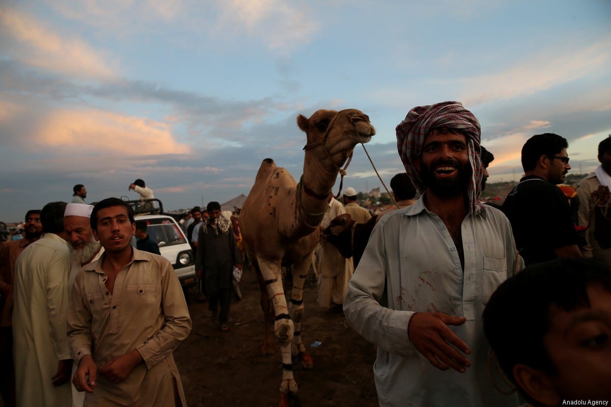 Eid Celebration Continues: Traditions and Togetherness in Pakistan