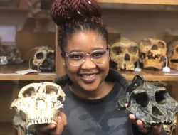 South Africa: UCT Leads Groundbreaking Discovery in Early Human Genetics