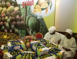 DC Matiari Launches Second International Mango and Handicrafts Festival