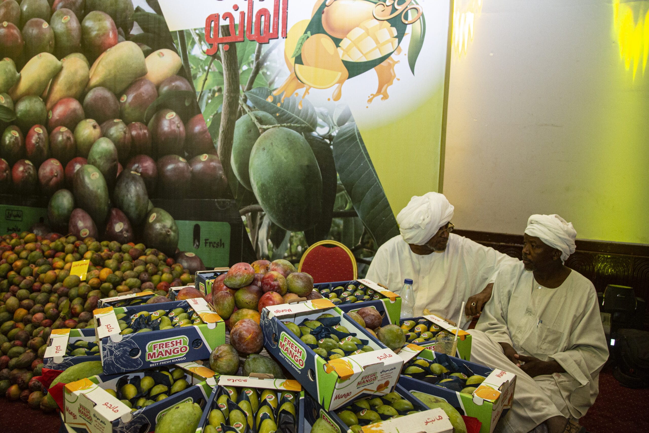 DC Matiari Launches Second International Mango and Handicrafts Festival