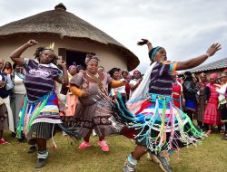 MultiChoice Africa: The Power of Local Storytelling in Shaping Culture
