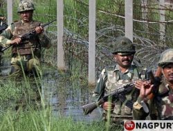 BSF Crosses Border, Enters Feni: 11 Held