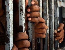 Indian Court Sentences Nigerian to 5 Years for Illegal Entry Indian Court Sentences Nigerian to 5 Years for Illegal Entry