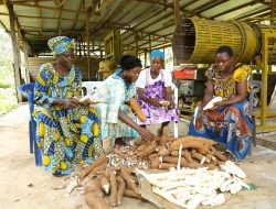 Odu’a Launches Agro-Industrial Hub: Empowers 100 Ekiti Youths in International Training Program Odu’a Launches Agro-Industrial Hub: Empowers 100 Ekiti Youths in International Training Program