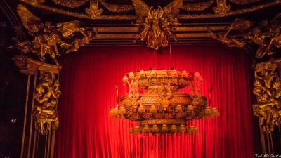 Phantom Opposition: Unmasking Its Discontents