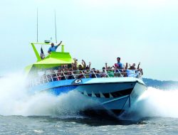 Merryland Prom: From Convoys to Speedboat Entrances – International Edition (English) Merryland Prom: From Convoys to Speedboat Entrances – International Edition (English)