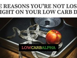 Slimmer No More: Unveiling the Science Behind Weight Loss Resistance Slimmer No More: Unveiling the Science Behind Weight Loss Resistance