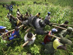 Mountain Gorilla Rally: Kenya’s Tundo and Patel Lead the Pack