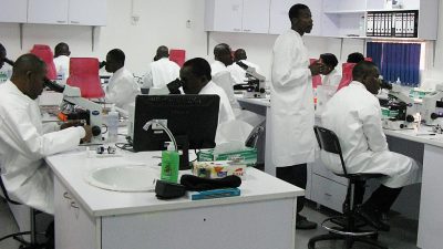 Lagos Lawmaker Urges Investment in Herbal Medicine Research