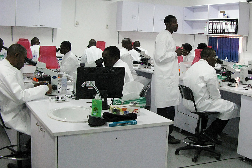 Lagos Lawmaker Urges Investment in Herbal Medicine Research