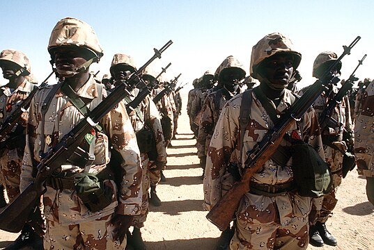 Niger: Top Military Chief Visits Troops Following Deadly Clash with Terrorists