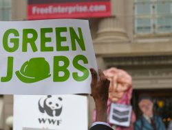 Govt Creates 1,500 Green Jobs by Setting Up 24 Plastic Collection Points