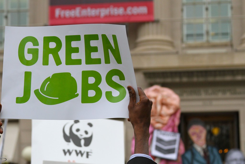 Govt Creates 1,500 Green Jobs by Setting Up 24 Plastic Collection Points