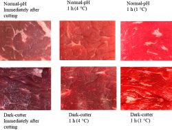 Beef Enthusiast Contracts Anthrax in Latest International Outbreak Beef Enthusiast Contracts Anthrax in Latest International Outbreak