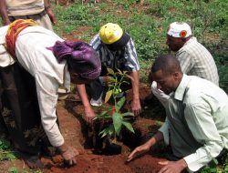 Regional Minister Urges Sustainable Tree Planting in Oti Regional Minister Urges Sustainable Tree Planting in Oti
