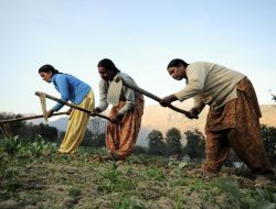 Honda Empowers Women Farmers in South-Western Regions Honda Empowers Women Farmers in South-Western Regions
