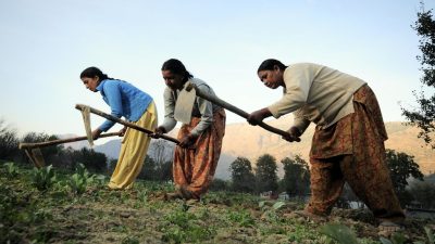 Honda Empowers Women Farmers in South-Western Regions