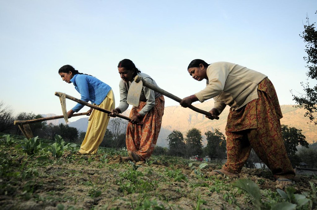 Honda Empowers Women Farmers in South-Western Regions